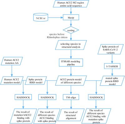 Systematic Tracing of Susceptible Animals to SARS-CoV-2 by a Bioinformatics Framework